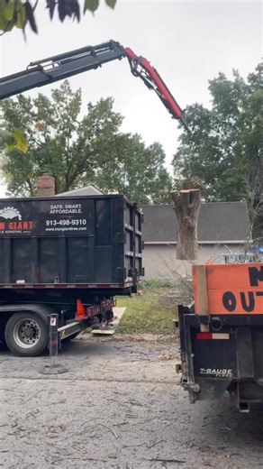 3.7K views · 26 reactions | MP Outdoors Tree Removal Services. Do you have a tree need? Give us a call! Efficient, reliable, and safe. | MP Outdoors | Facebook