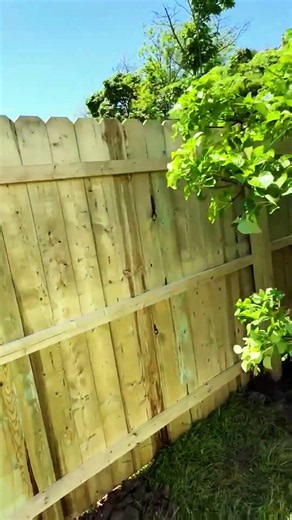 The Difference Between Good & Great Fence Work #construction #craftsmanship #fencecontractor