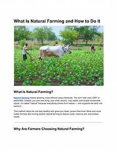 What Is Natural Farming and How to Do It - SlideServe