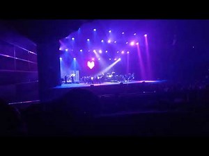 DARK ZONE by Toby Fox | Orchestra 26.11.2025