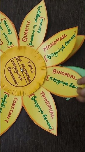 Types of polynomial working model/ polynomial and it's types #10thmaths #mathsworkingmodel