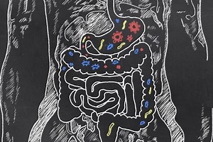 Symptoms and treatment of Escherichia coli bacteria