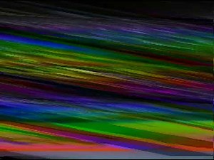 NCAA Wrestling- University of Iowa- 1981-1982- Lennie Zalesky