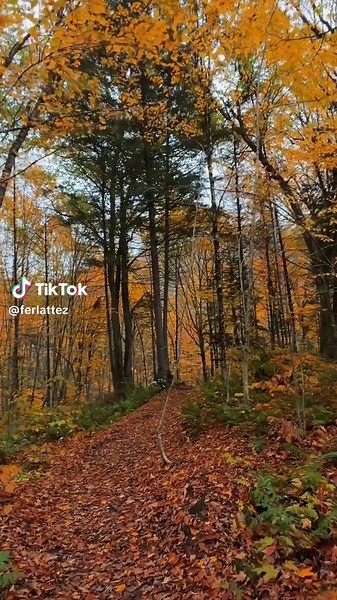 Explore Boucle de la Hauteur: A Family-Friendly Hike