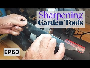 Watch Me Sharpen Loppers and Pruners Like A Pro!