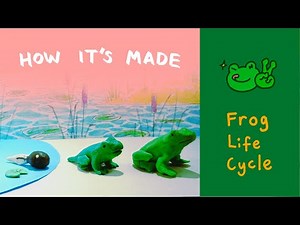 Frog Life Cycle Stop Motion Tutorial