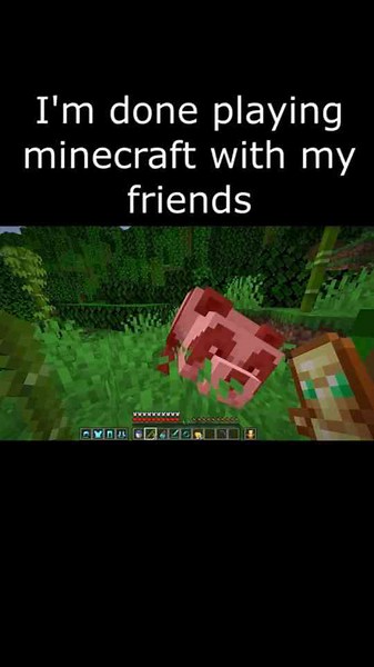 Funny Minecraft Moments