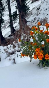 #best #view | Nature Explore