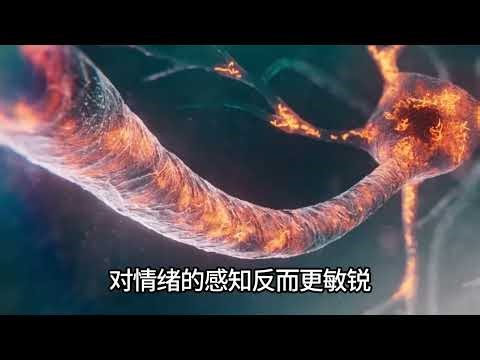 Why Thirtysomethings & Fortysomethings Crave Comfort Over Novelty