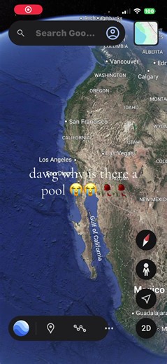 Funny Pool Memes That Will Make You Laugh