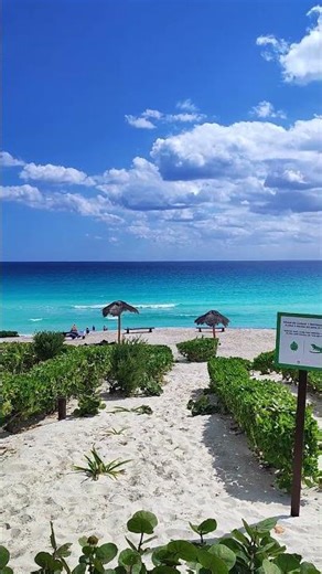 playa delfines, Cancún Quintana Roo México, #cancun