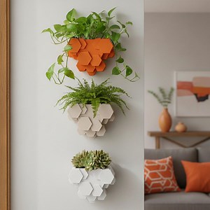 Geometric Hexagon Wall Planter – Modern Indoor Pot for Succulents & Vining Plants – Removable Drainage Insert - Etsy
