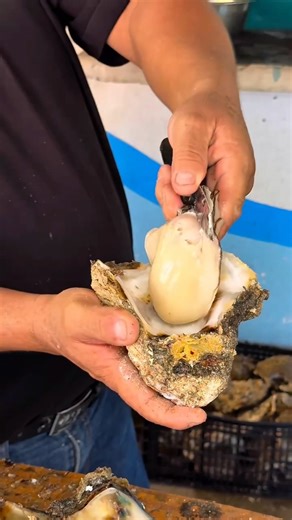 Have you ever seen a moat as big as this? #bestfood #moat #seafood