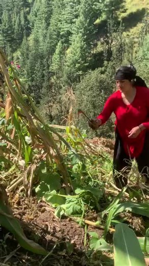 taslim.swati1 💔S💔 (@taslim.swati1)’s videos with original sound - Ali Swat