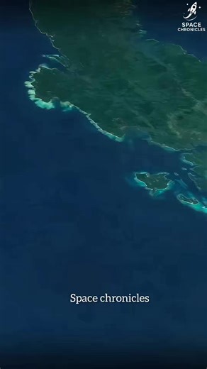 space chronicles on Instagram: "There’s an island on Earth that almost no one is allowed to visit, and it’s unlike anything you’ve ever seen. Known as Snake Island, this small stretch of land off the coast of Brazil is home to one of the highest concentrations of venomous snakes found anywhere in the world. Scientists estimate there could be one snake every few square meters, making casual exploration nearly impossible. Due to its unique environment and species protection rules, entry is restric