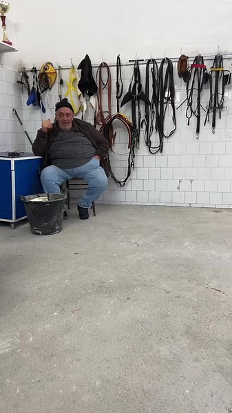 Equestrian Equipment Overview and Discussion