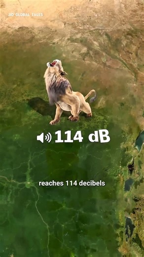 Australia and East Africa. But despite its small size, 🌎 | #global #jioglobaltales