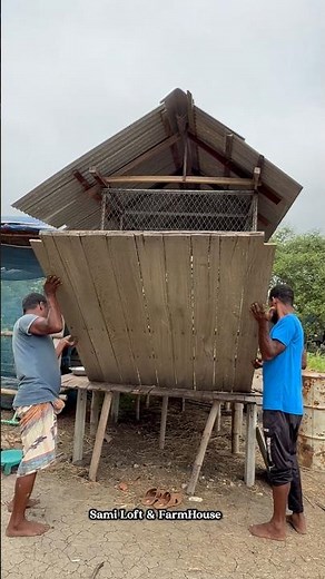 Racing Pigeon Loft Build: Roof Installation Day!