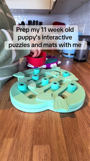 Engaging Activities for Your Puppy: Puzzles and Mats