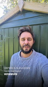 11K views · 73 reactions | Do you have gaps in your flower beds? Our resident gardener has a genius way to fill them. Orpheus Alexander is back to share his seasonal gardening tips - and this time we're focusing on ensuring full blooms once spring rolls around. Not only does this plant-multiplying tip make your borders look fuller but it will reduce the amount of weeding you need to do. #gardening101 #geraniums #gardeninghack | woman&home | Facebook