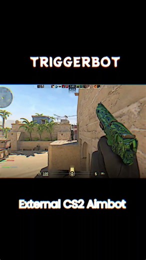 Day 5 of using Triggerbot in CS2 #csgo #cs2 #gaming