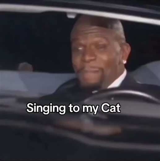 This is why I scratch you #meme #cat