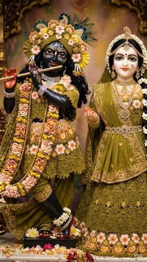 Radhe Radhe ji 🙏🌺🌿❤️ #radhakrishn #krishn #krishnwold#viralreel #radharani #viral #gopal#shorts