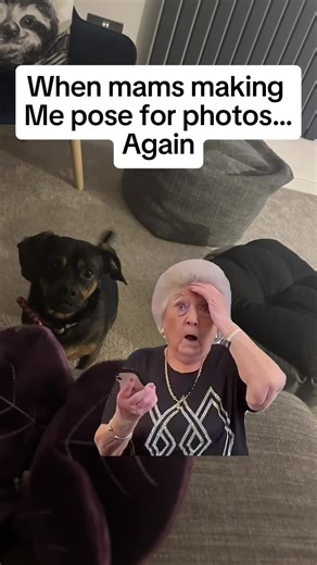 Always with the camera in my face, just throw my toy woman🧸 🐶 #dog #fyp #foryoupage❤️❤️ #doglife