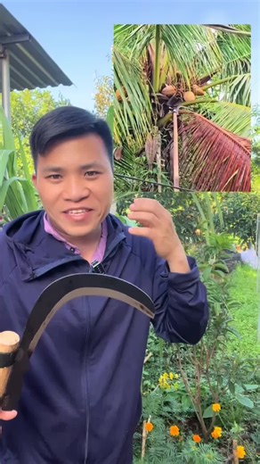 Sickle Blade Options for Cutting Branches Effectively