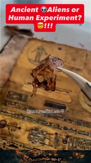 QuantumSkies-V on Instagram: "What if this isn’t just a dusty old book… but a record of a civilization we were never meant to know? 👁️ ⚡ Symbols that look like circuit boards, cosmic maps, and human diagrams… ⚡ Technology far beyond anything ancient humans should’ve had… ⚡ A blueprint that hints at genetic experiments, human creation, or even revival by beings from another world. Some say it’s a manual from a lost civilization that mastered energy, biology, and dimensional travel. Others believ