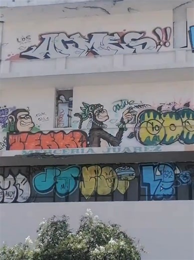 #centrodemty #acme #grafiti #chango #🐒🐵