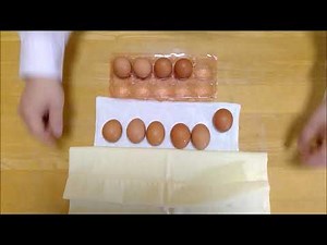 小1 算数 「いくつといくつ」