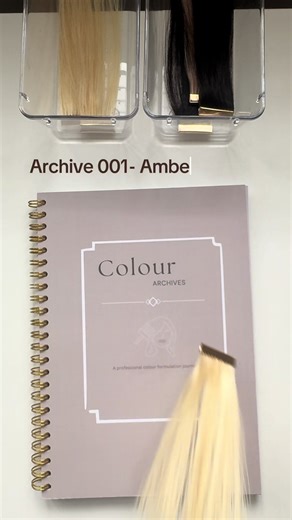 Hairdressers… why are we not archiving our formulas in 2026? Document every shade. Every formula. Every colour combo. ✍🏻 Your future self will thank you. #H#HairEducationH#HairColouristH#HairJournalcolourarchives #TrendingHairColours