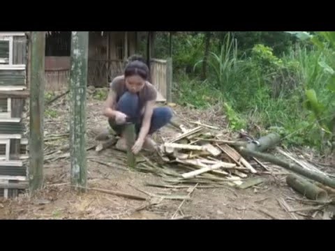 Living Alone in the Deep Forest Building a Bamboo Gate & Small Bamboo House Alone #bombocraft