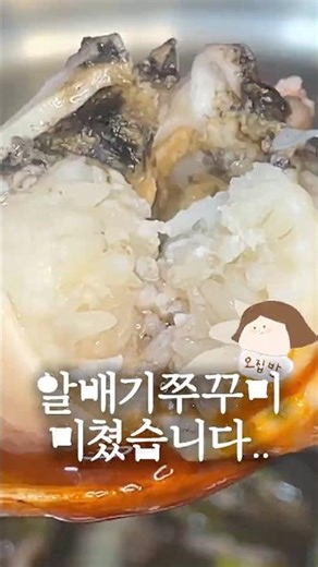 알배기쭈꾸미..지금 드셔야해요! 봄쭈꾸미 미쳤습니다. 쭈꾸미 샤브 간단해요!
