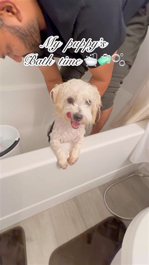 My puppy’s bath time🛁 #shorts