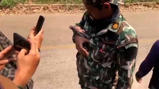 Rangers rescue baby wild boar fleeing from forest fire