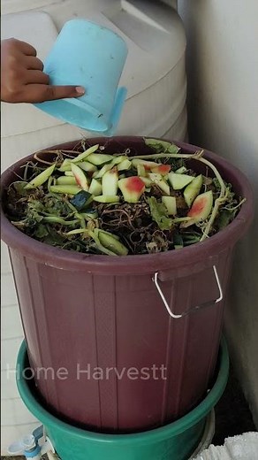 Never buy fertilizer again after seeing this #hack #gardening #shorts