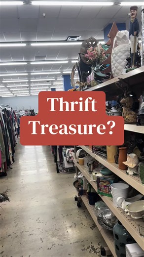 Thrift Treasure? Best Goodwill Finds and Thrift Tips