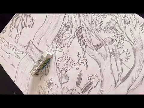 How to draw forest animals by pencil drawing step by step Asfar ali Drawings Academy