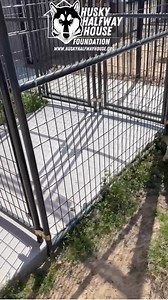 8.2K views · 677 reactions | Meet Petey – The Energetic,...