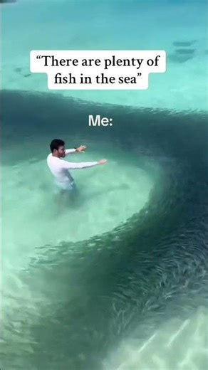 POV plenty fish in the sea #comedyshorts #bestpranks #shortsfeed #fyp