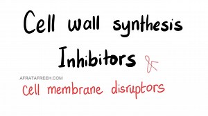 Cell Wall Synthesis Inhibitors Intro || Antibiotics