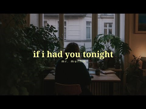 mr. muffin - if i had you tonight // lyrics (for when you're in the mood to slow dance)
