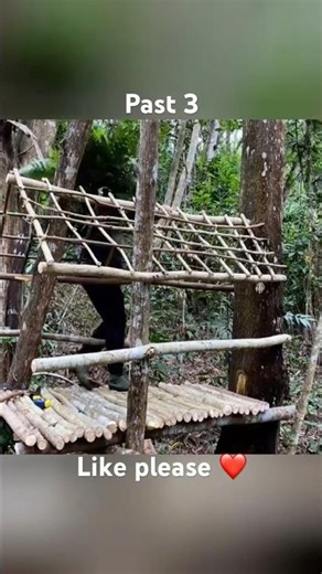 Building a Hidden Forest Hut from Scratch | Primitive Survival Shelter