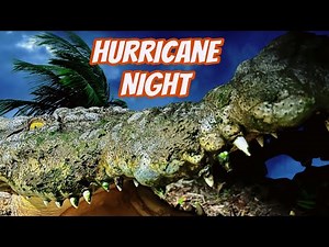 Overnight in a Hurricane with 2000 Alligators & Crocodiles‼️