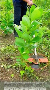 Best Weeding Tools for Efficient Farm Maintenance #gardeningtips #satisfying