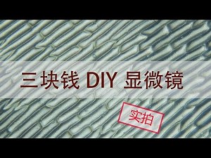 [DIY] How To Make Microscope？成本仅需三块钱的显微镜可看植物细胞