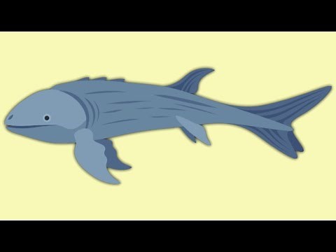 Cat Goes Fishing - Problematicus catching Guide