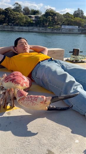 A giant crab cut my jeans…